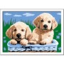 Pictura Pe Numere - Catelusi Ravensburger - 1